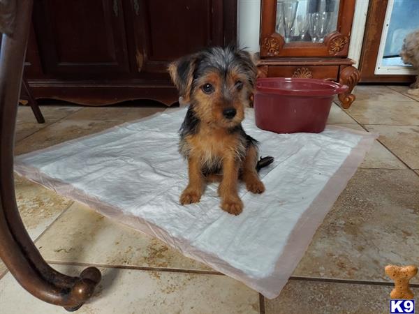 Maria Lou Picture 1